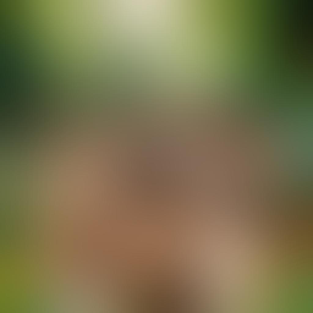 A serene natural setting featuring a diverse group of individuals joyfully embracing a naked lifestyle, surrounded by lush greenery and vibrant flowers. They are laughing and enjoying life, embodying confidence and body positivity, with a radiant sun shining down. Include symbols of freedom like butterflies and birds soaring above. The scene should evoke a sense of warmth, togetherness, and bliss. super-realistic. vibrant colors. soft focus.